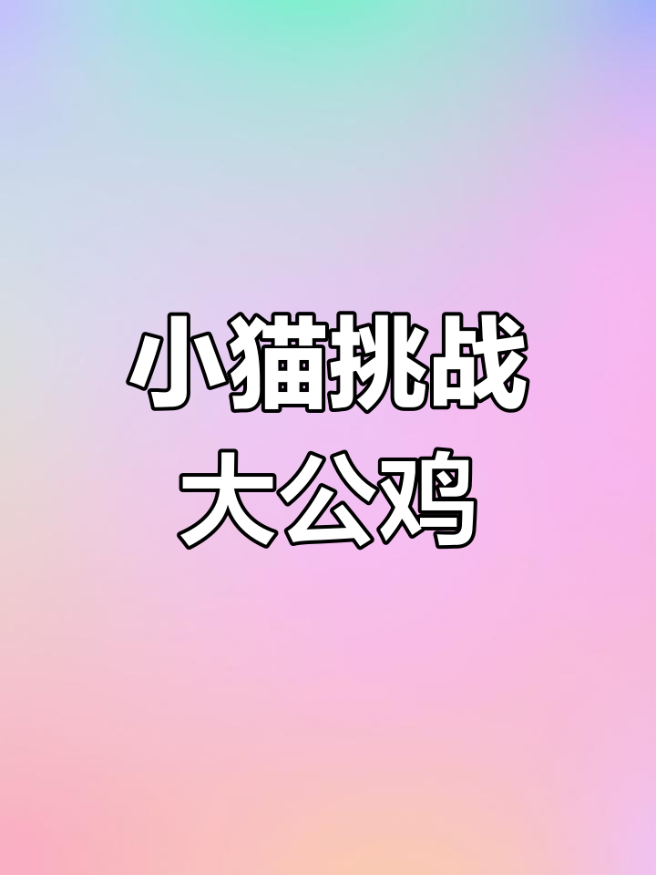 初生牛犊不怕虎,乡村鸡妈妈勇斗“入侵者”