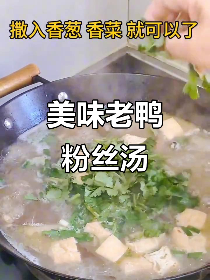老鸭粉丝汤,鲜美无比的独特做法