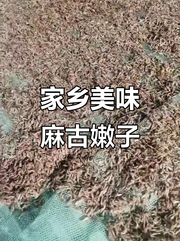 麻姑嫩子小鱼小虾,晒干后香脆可口,农村特产不容错过