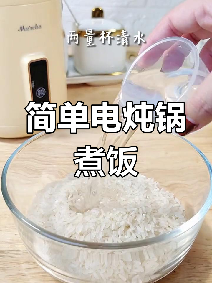 电炖锅煮饭教程,轻松搞定家常便饭
