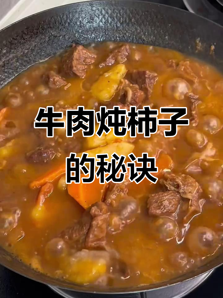 牛肉炖柿子,汤汁浓稠软烂入味!