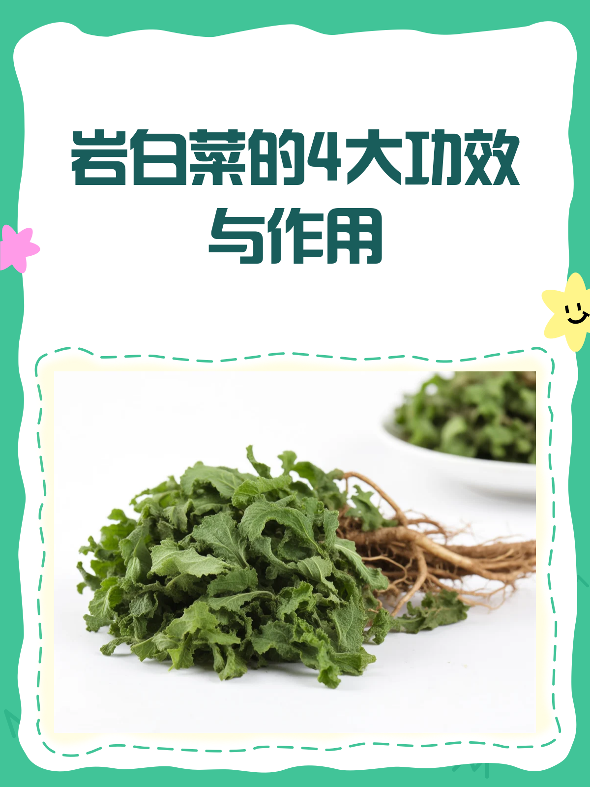 岩白菜:功效多多,但别乱吃哦!