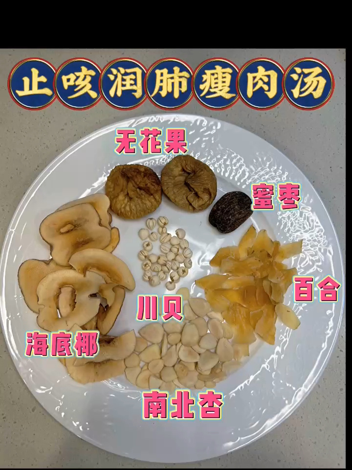 止咳润肺瘦肉汤|隔水炖|小朋友也爱喝