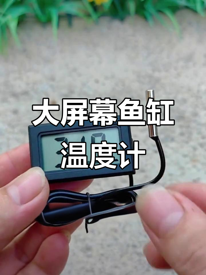 鱼缸温度计大揭秘!这款探头能测零下五十度到一百一十度的水温
