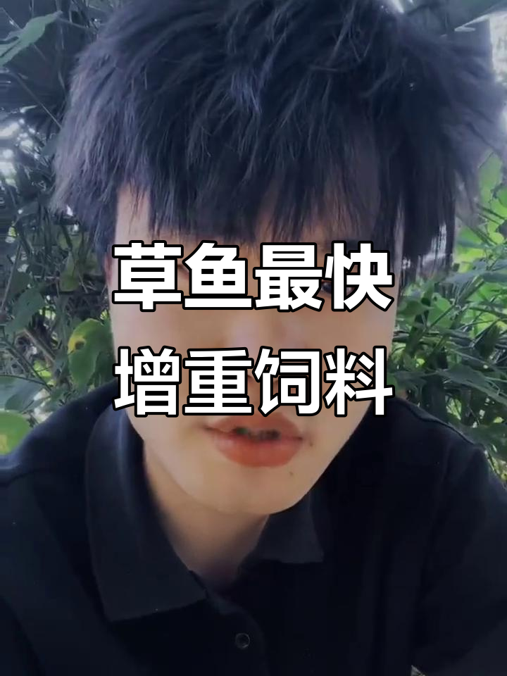 草鱼吃什么能快速增重？这些饲料搭配最有效