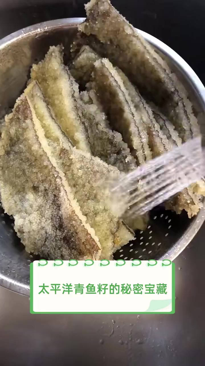 太平洋青鱼籽的秘密宝藏