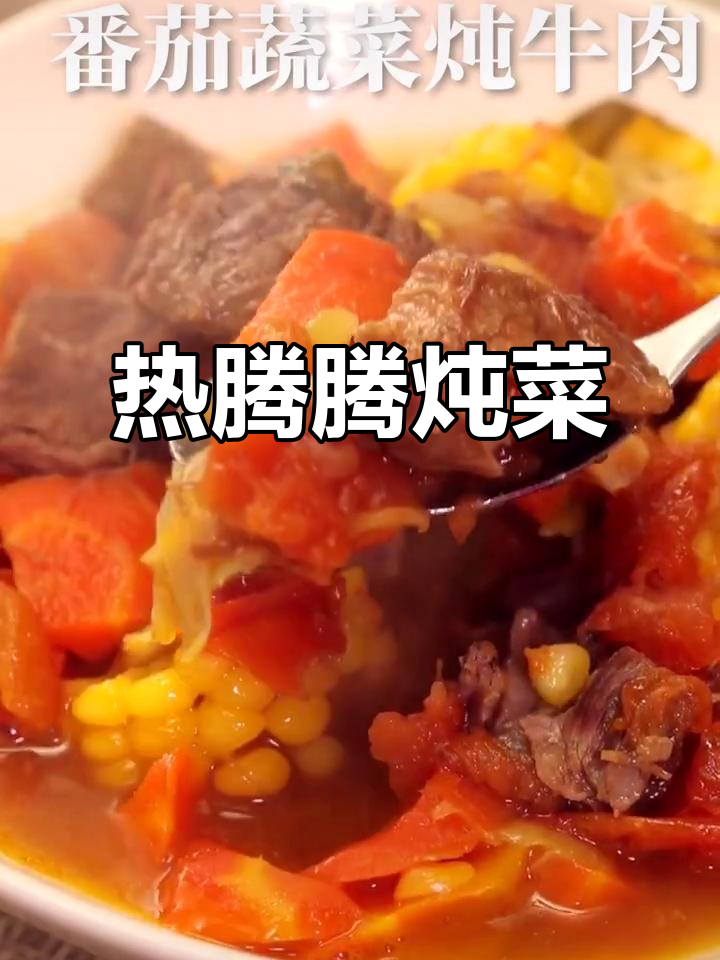 冬季暖心炖菜，番茄蔬菜牛肉汤