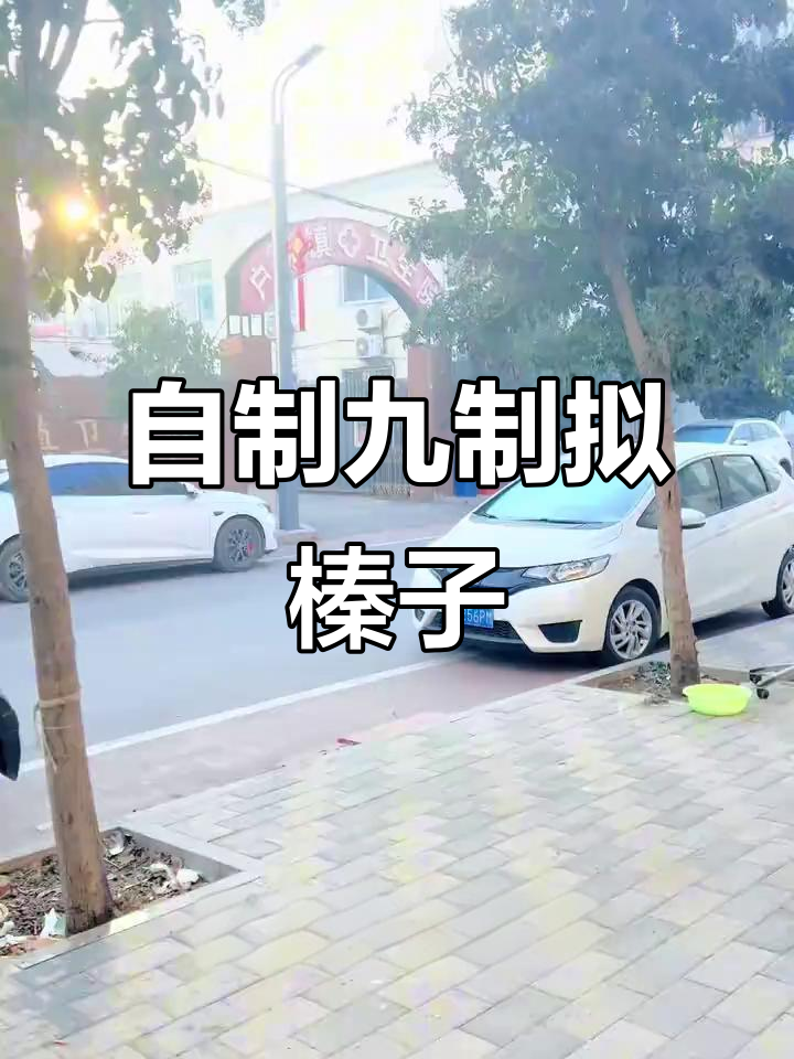 酒炙女贞子制作全攻略,新手也能轻松搞定