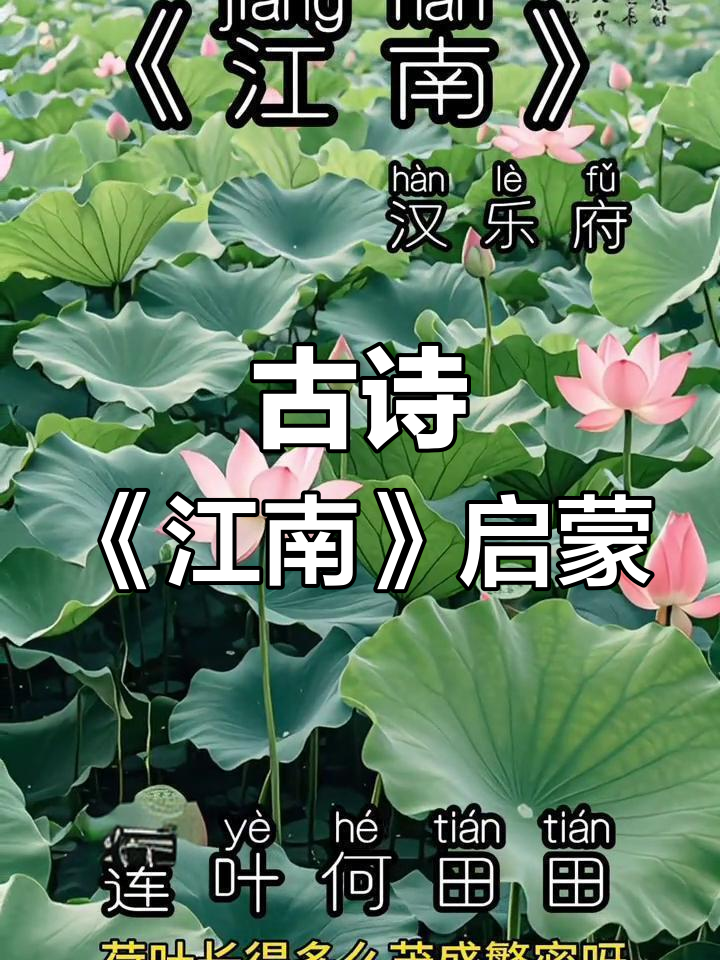 江南采莲歌,鱼戏荷塘乐趣多
