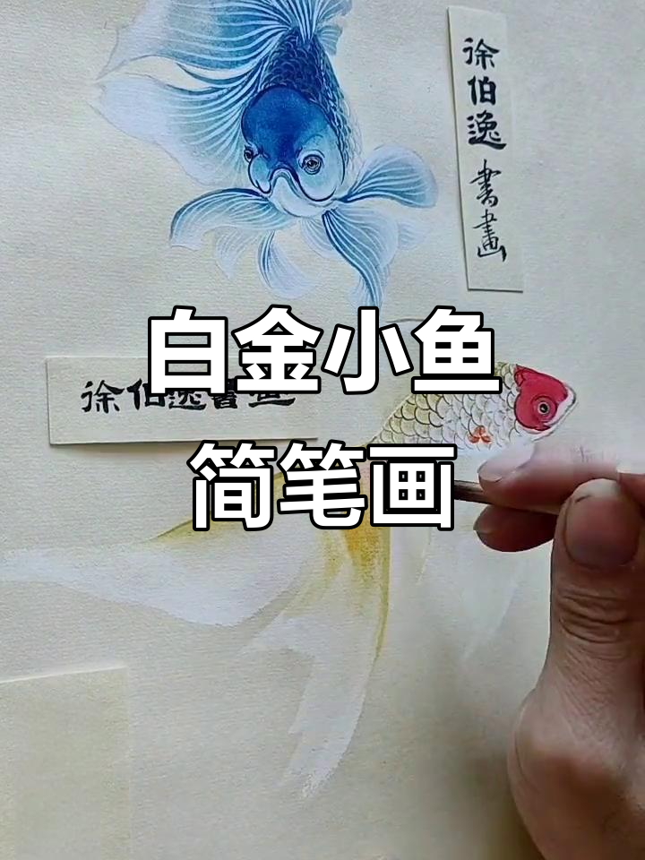 轻松画出可爱白色小金鱼,简单又有趣