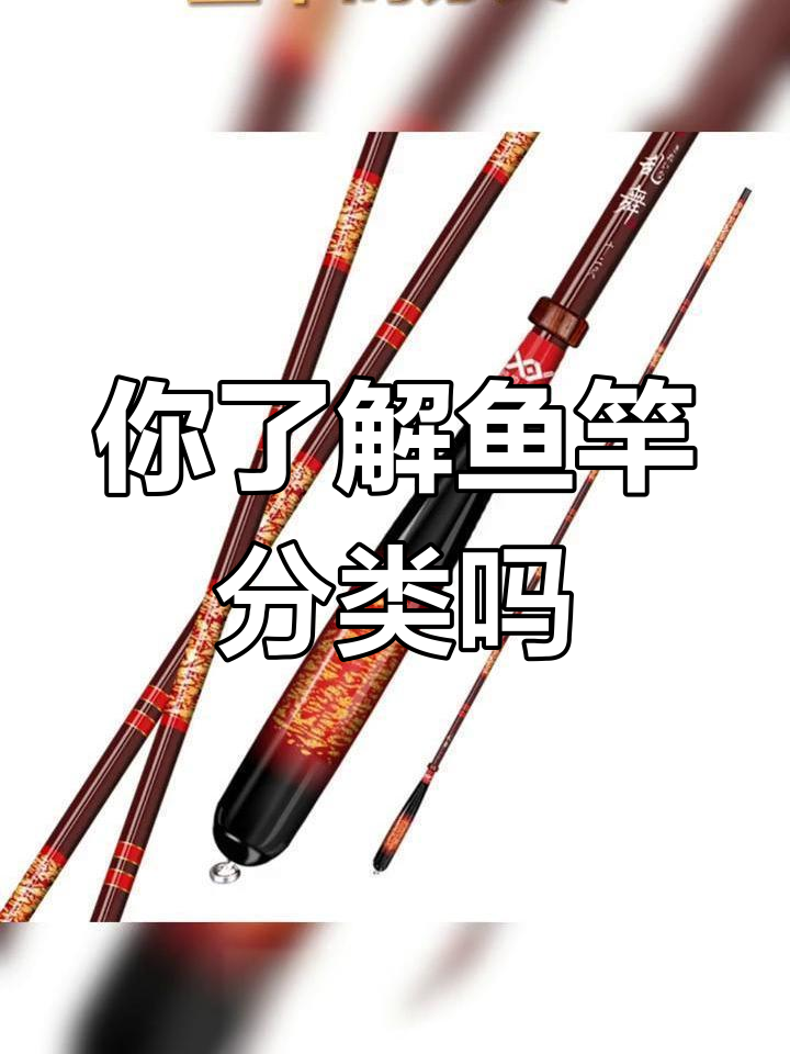鱼竿种类大揭秘,哪种最适合你?