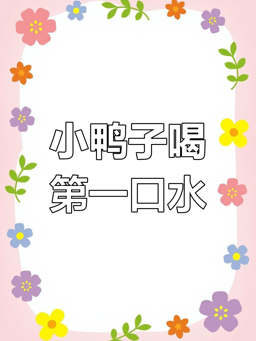 刚出生的小鸭喝水抢饭吃,萌态十足