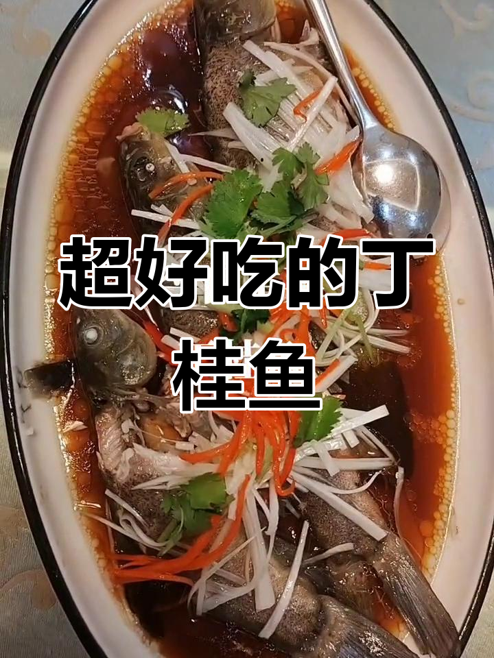 野生丁桂鱼,香辣美味不可错过