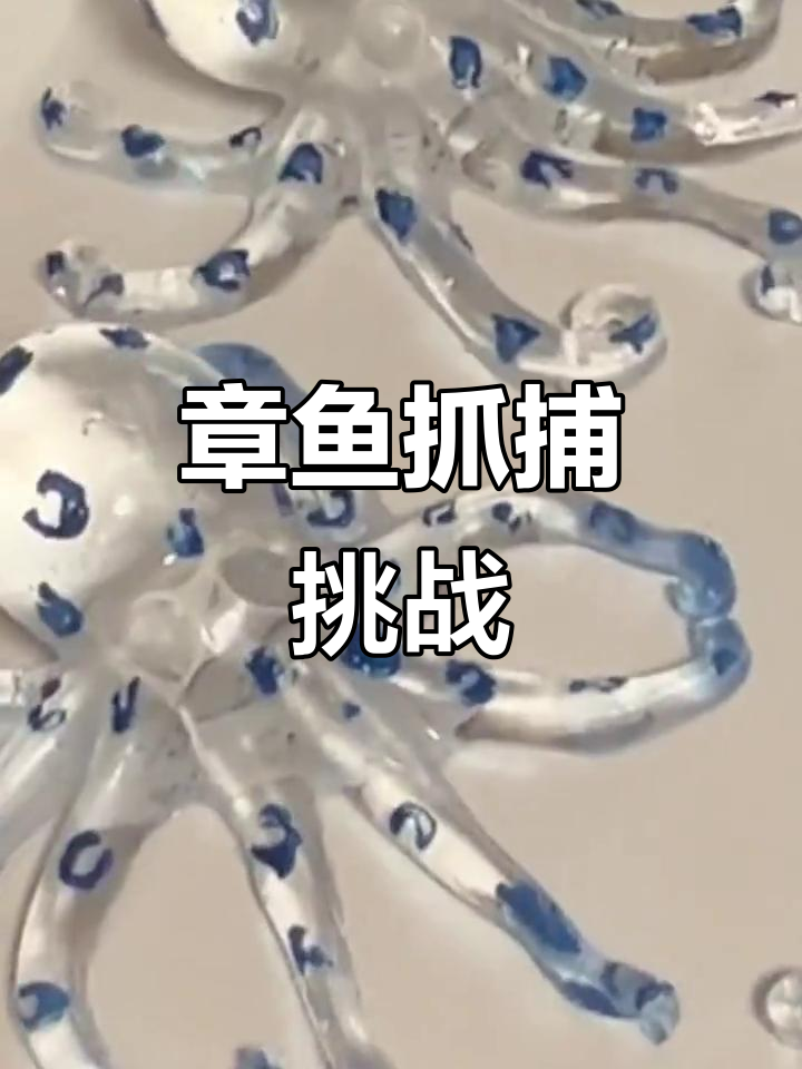 粉色章鱼大冒险,捉住它们真有趣!