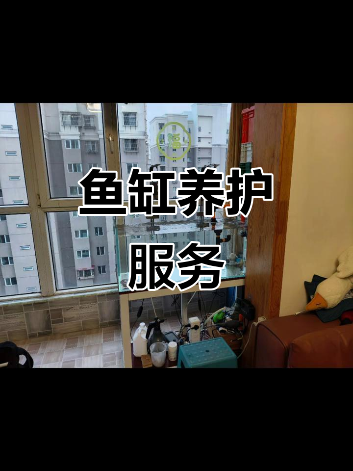 天津鱼缸清洗与维护,定期上门服务
