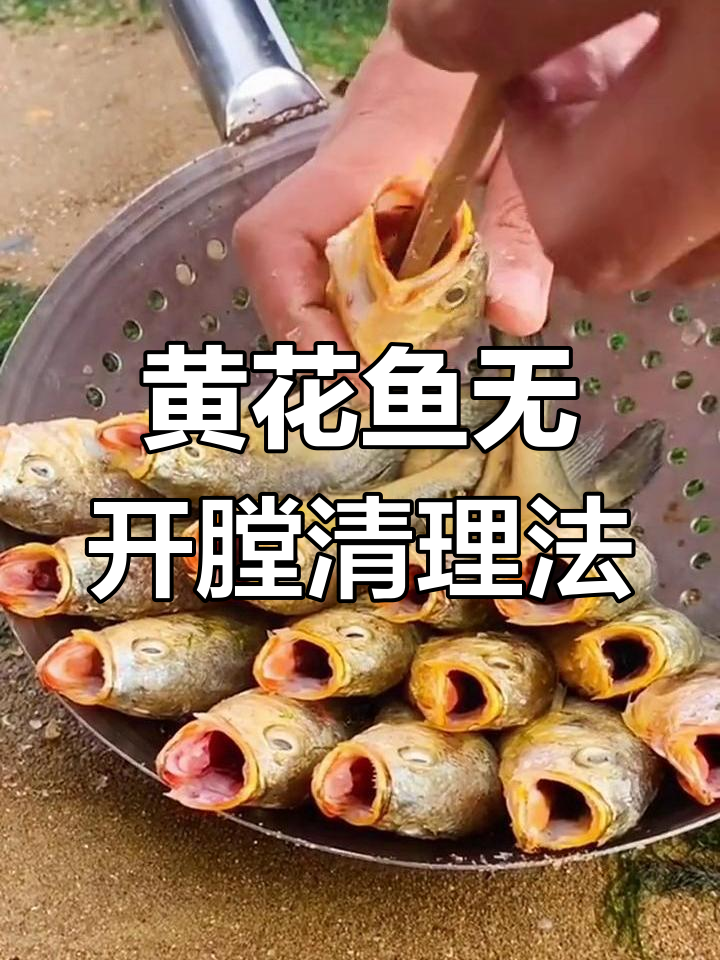 轻松去黄花鱼内脏,筷子一插搞定!
