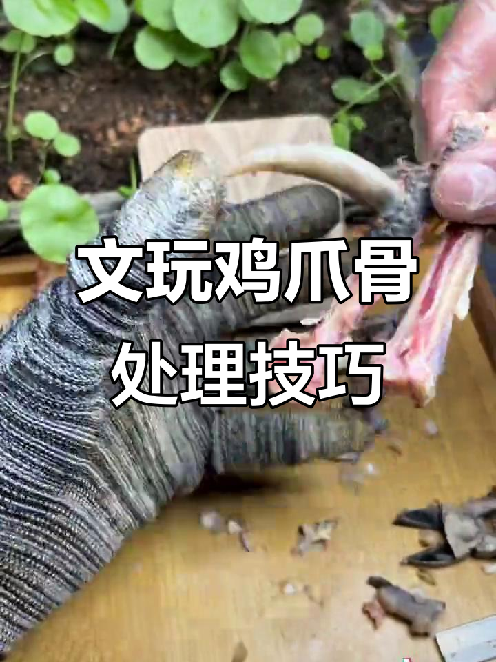 鸡爪骨文玩制作揭秘:从关节到抛光的全过程