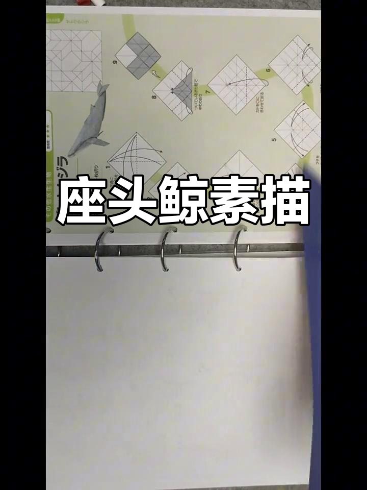 座头鲸素描，双面纸挑战，难度三星