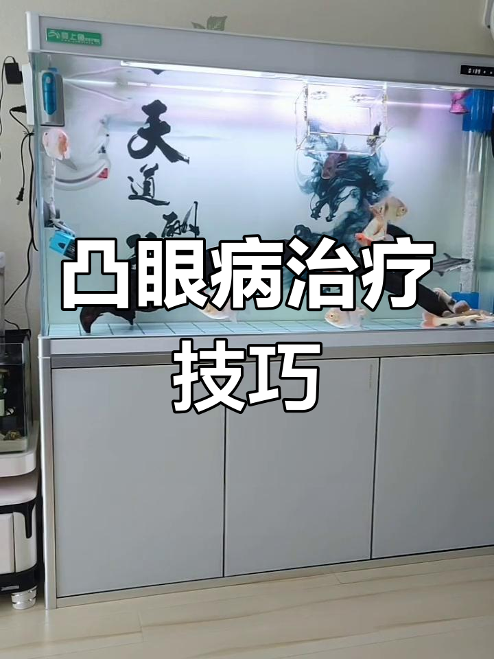凸眼病防治全攻略:如何应对细菌感染