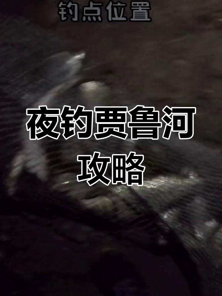 夜间钓鱼技巧大揭秘,贾鲁河钓点分享