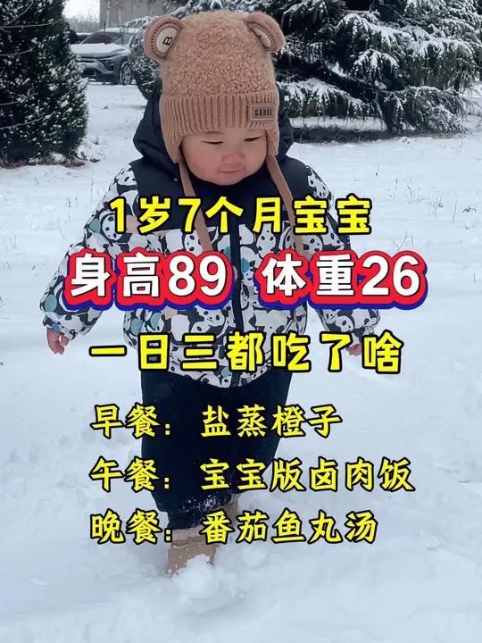 一岁7个月兔宝宝,身高89.2,体重26,一日三餐都吃了啥?早餐盐蒸橙子,午餐宝宝版卤肉饭
