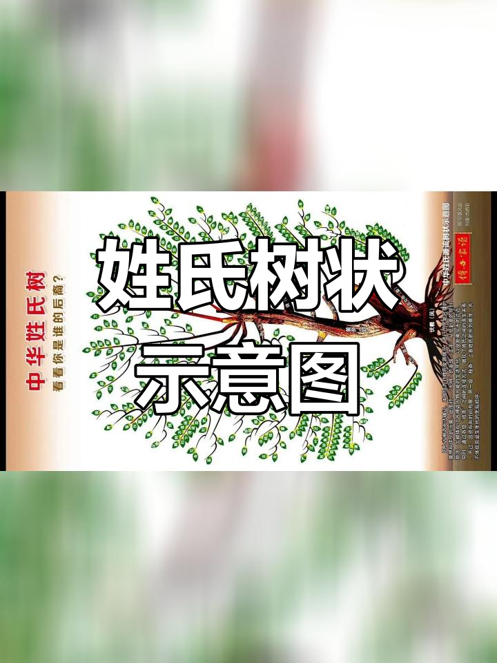 中华姓氏源流图解,揭示家族起源