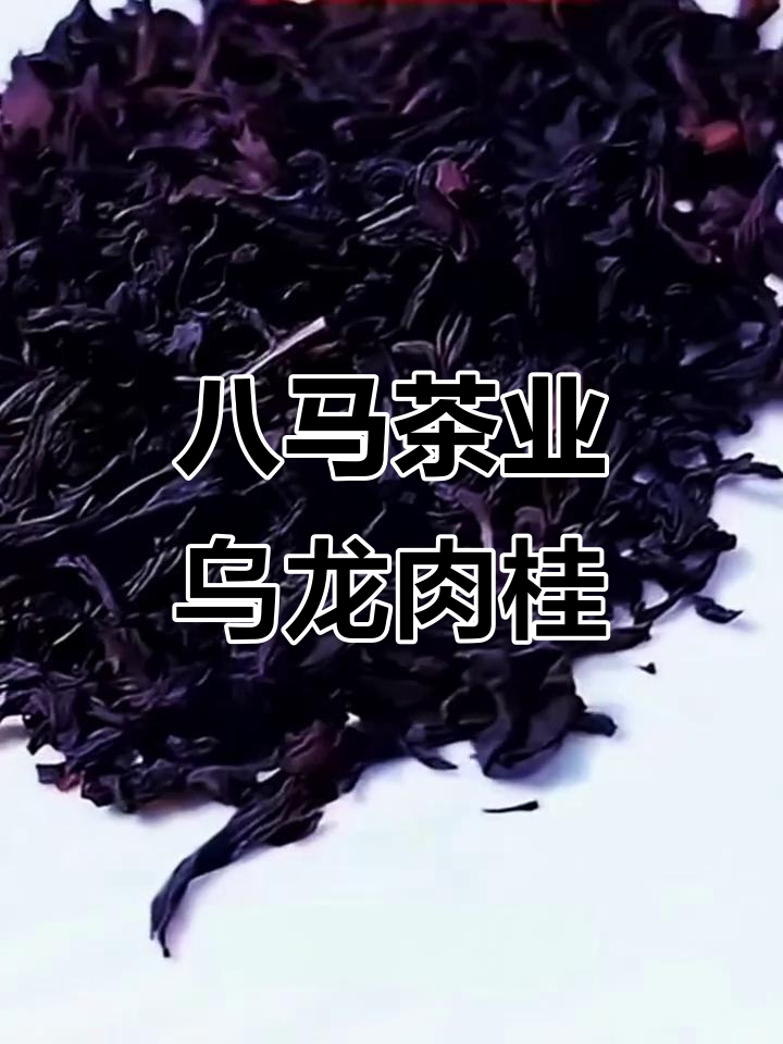 百年八马茶业传承，福建武夷山乌龙肉桂独特香气