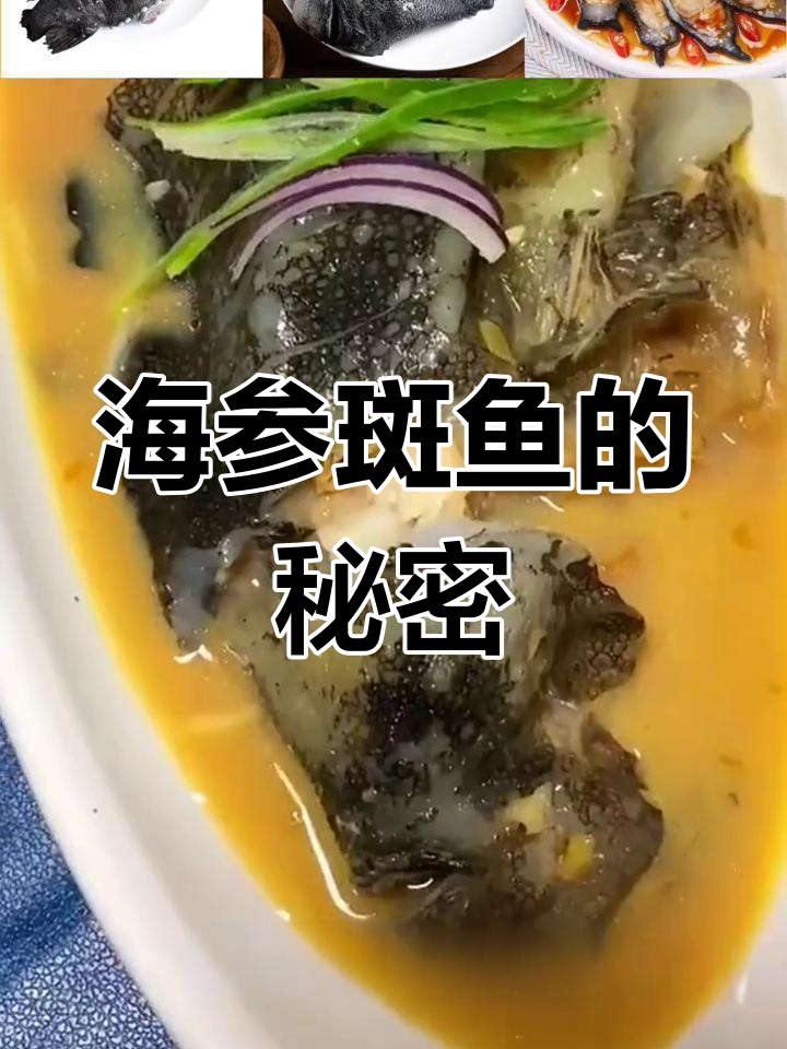 深海海参斑鱼,富含胶原蛋白,纯净冷水捕捞