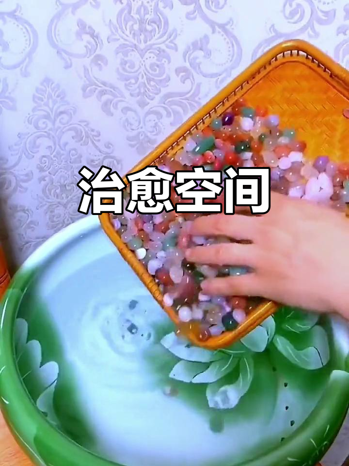 防虫水培,鱼缸透明,每一处都让人心旷神怡