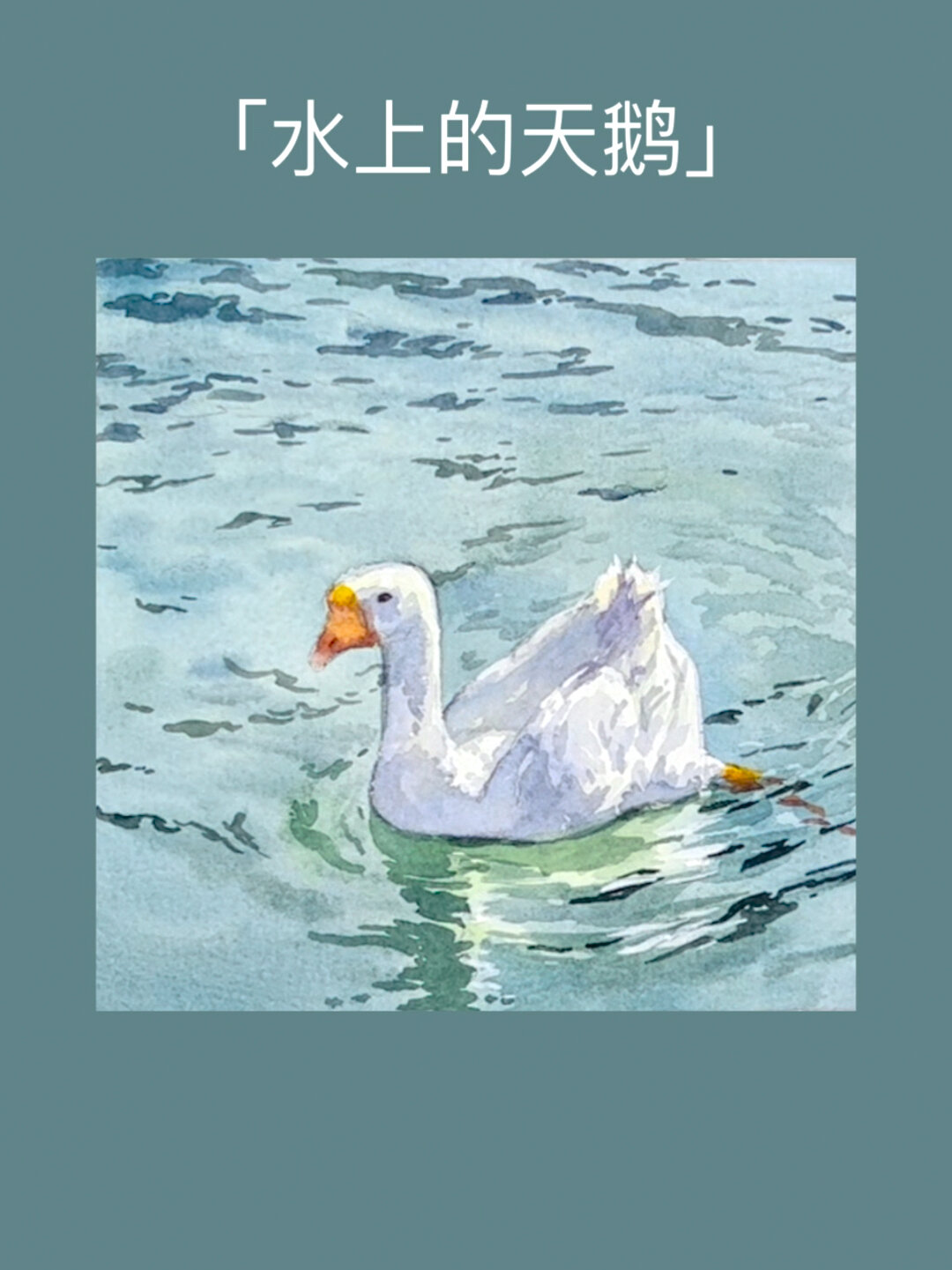 水彩教程:教你怎么画水上的天鹅