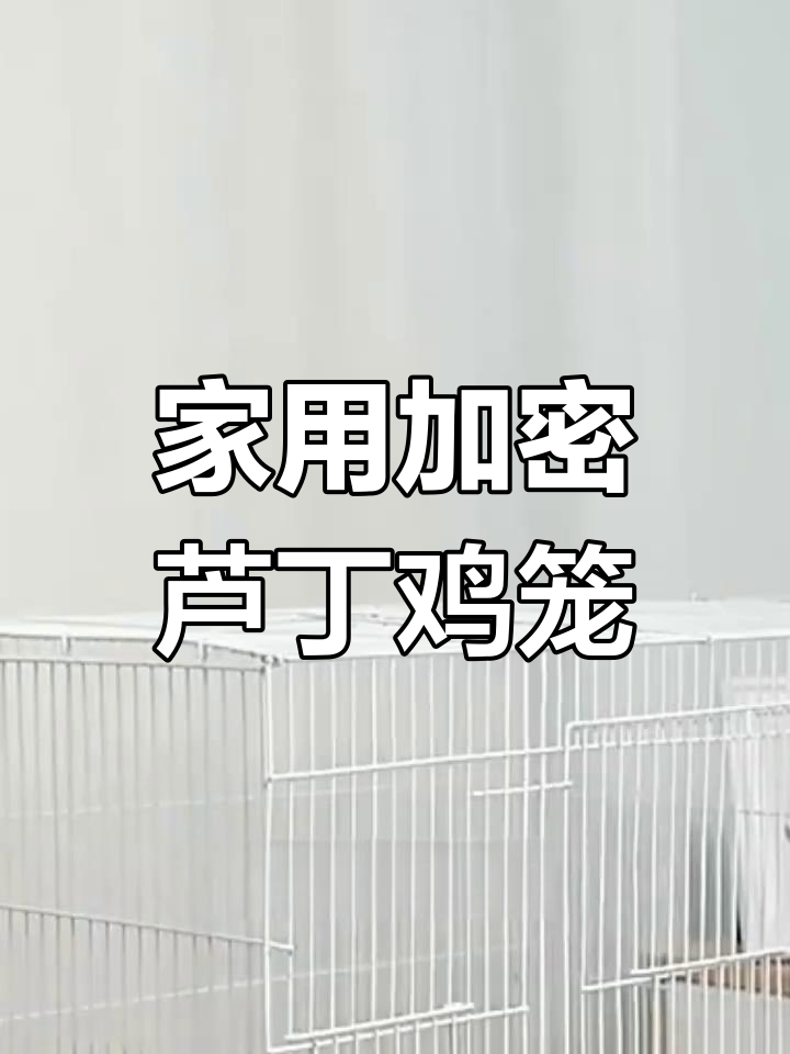 芦丁鸡养殖笼对比,家用大号更实用