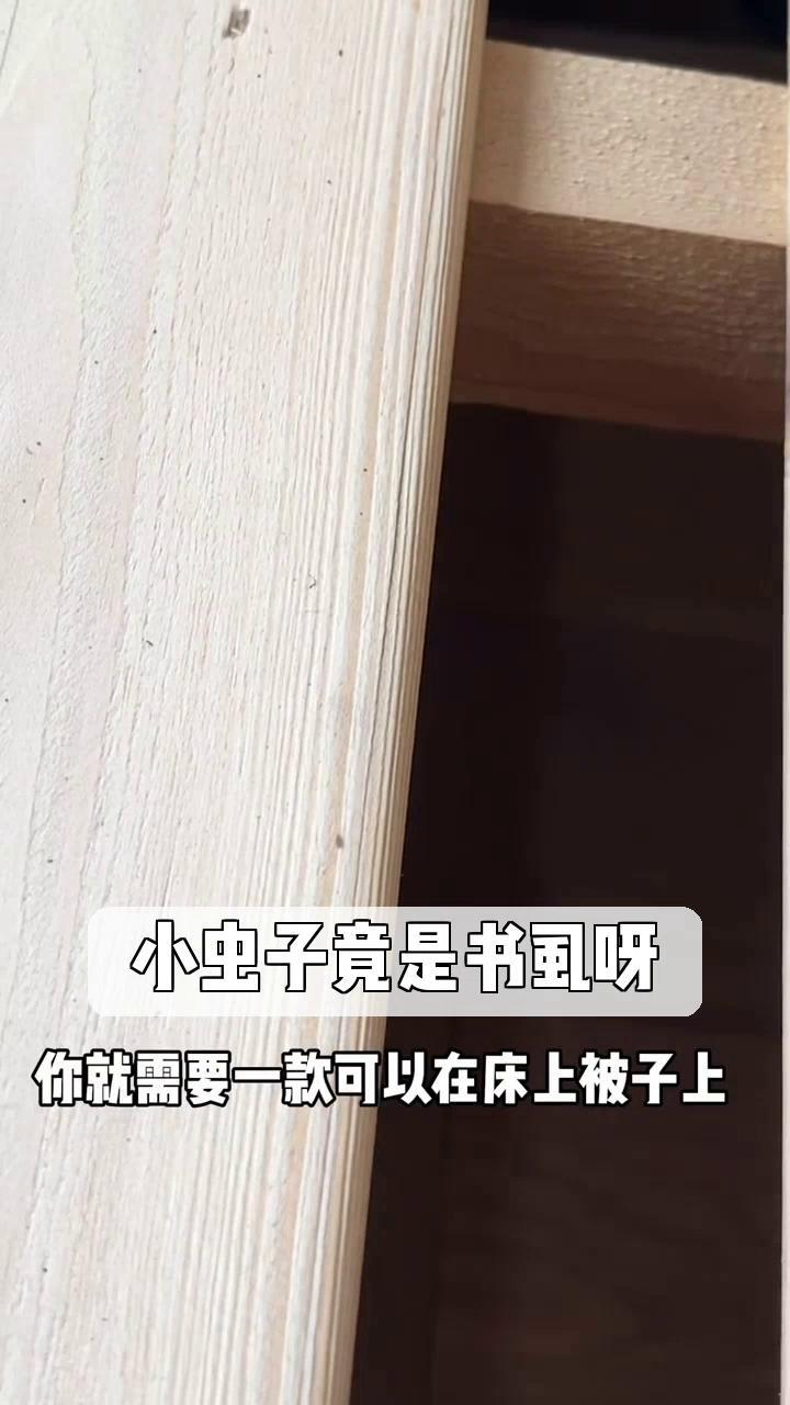 小虫子竟是书虱呀