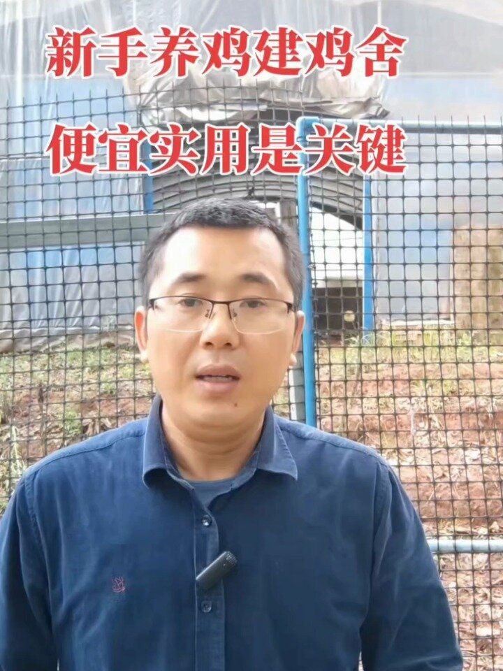 简易鸡舍德搭建方式