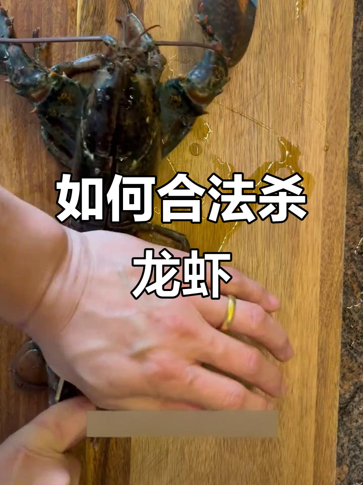 加拿大魁北克龙虾烹饪新规:如何正确杀龙虾,避免犯法