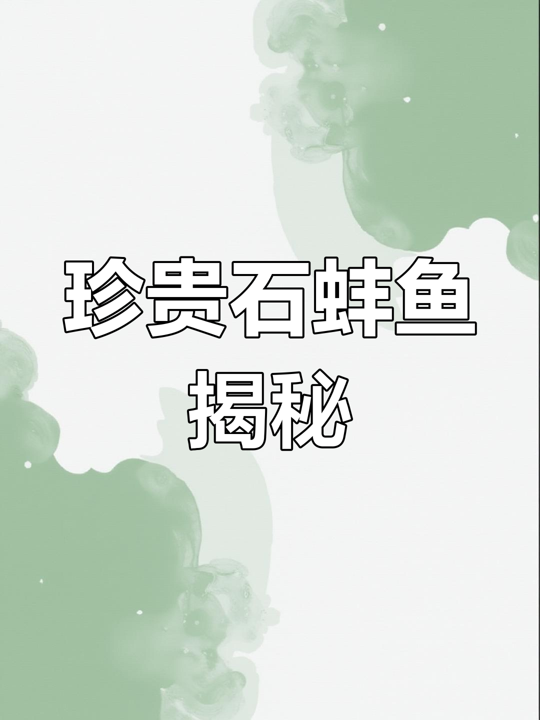 石蚌鱼:稀有高端海鲜,星级酒店争抢的宝藏