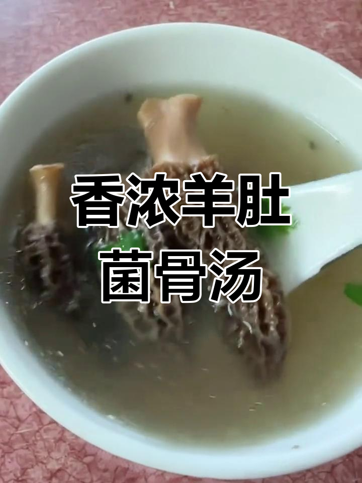 羊肚菌干贝骨头汤,香气扑鼻,肉质鲜美