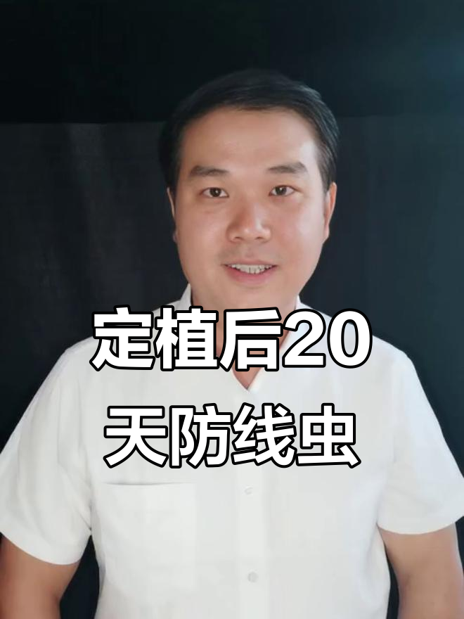 防治根结线虫,定植20天是关键时机
