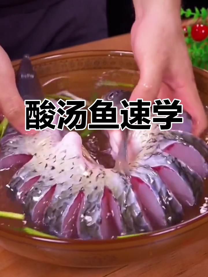 想吃营养又简单的酸汤鱼?1分钟轻松学会!