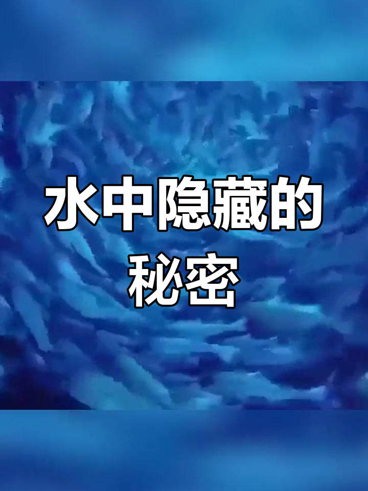 水下鱼群背后的神秘世界,真有另一个空间?