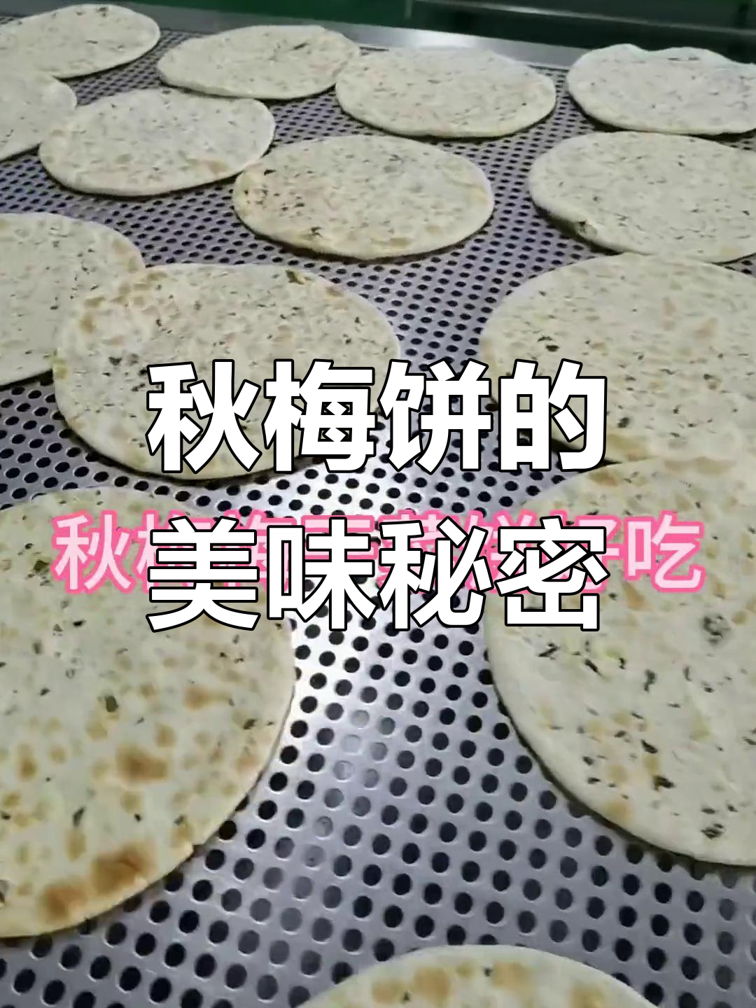 秋梅饼美味升级,关键在于精选倒笃菜!