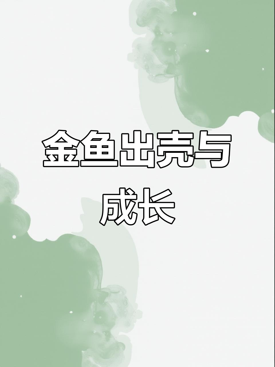 泰狮金鱼出壳记:从鱼苗到挂丁的成长历程