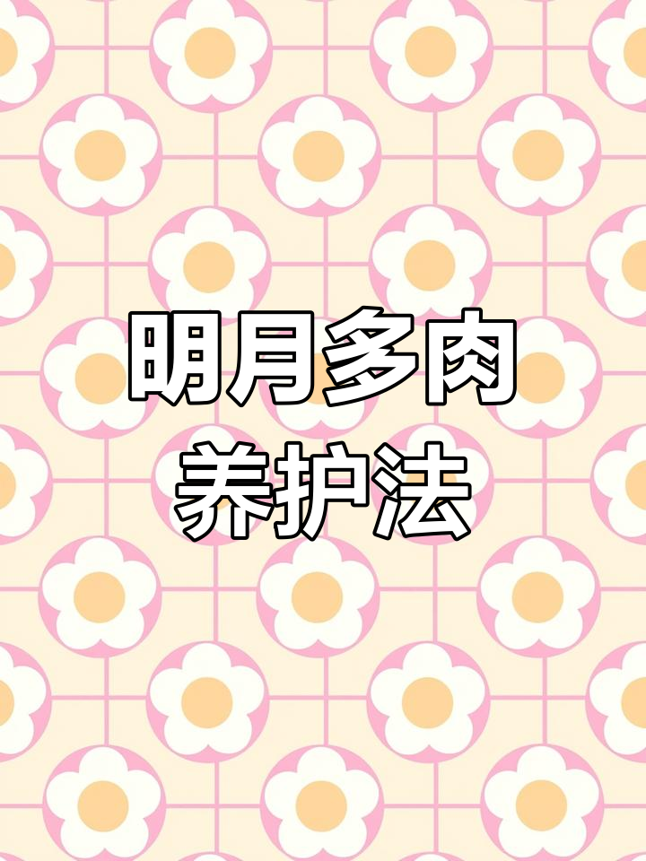 多肉铭月养护技巧:轻松种植,抗病性强