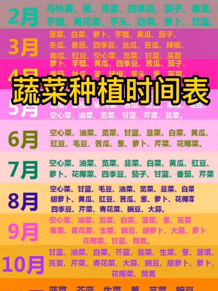 蔬菜种植时间表