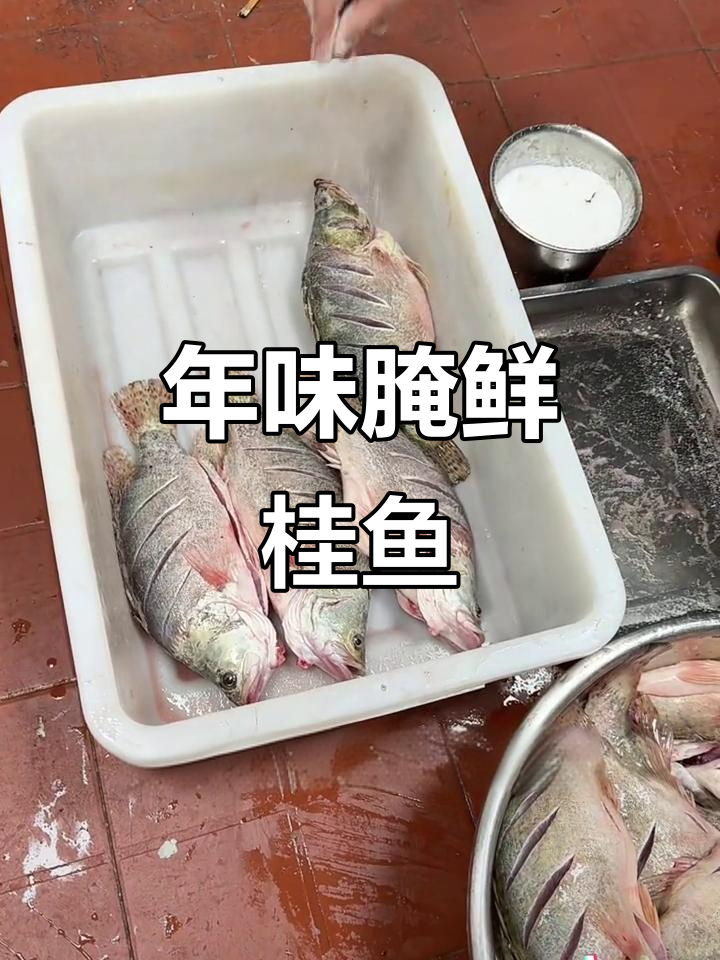 过年必备腌鲜桂鱼,蚌埠传统美味等你尝