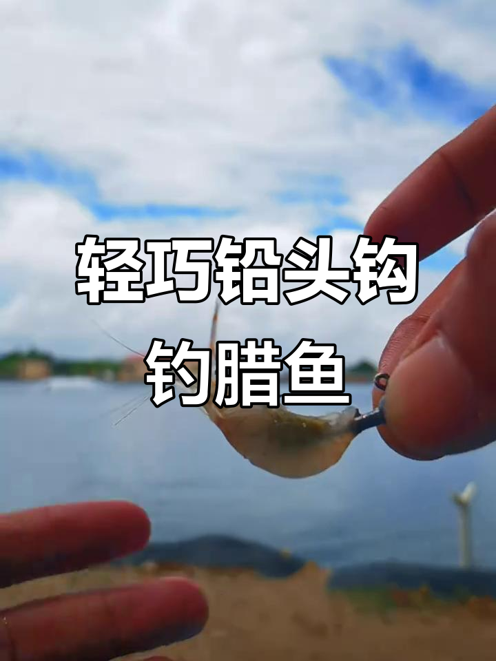 小克重铅头钩搭配小河虾,黑坑钓腊鱼轻松上钩