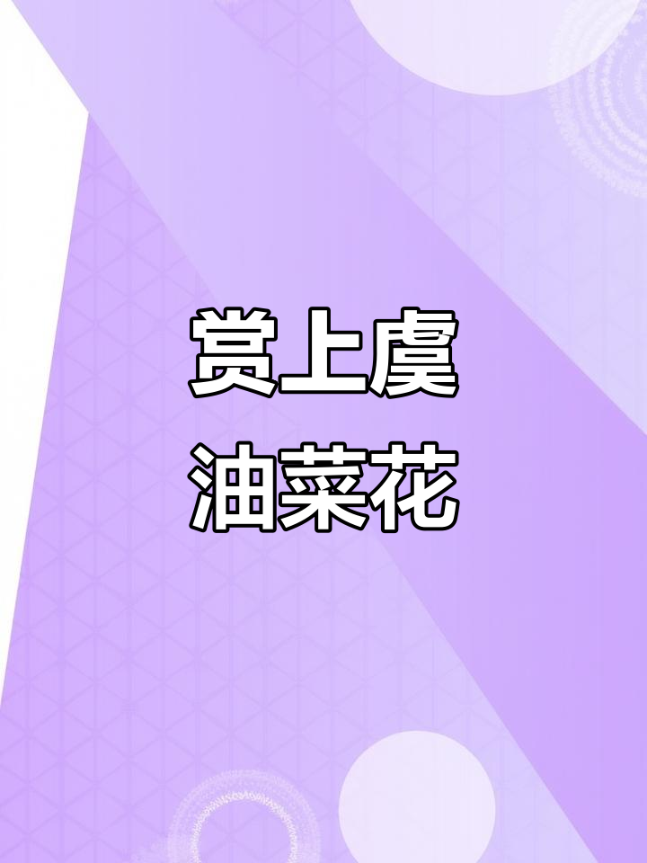 上虞覆卮山油菜花海,千年梯田美景尽收眼底