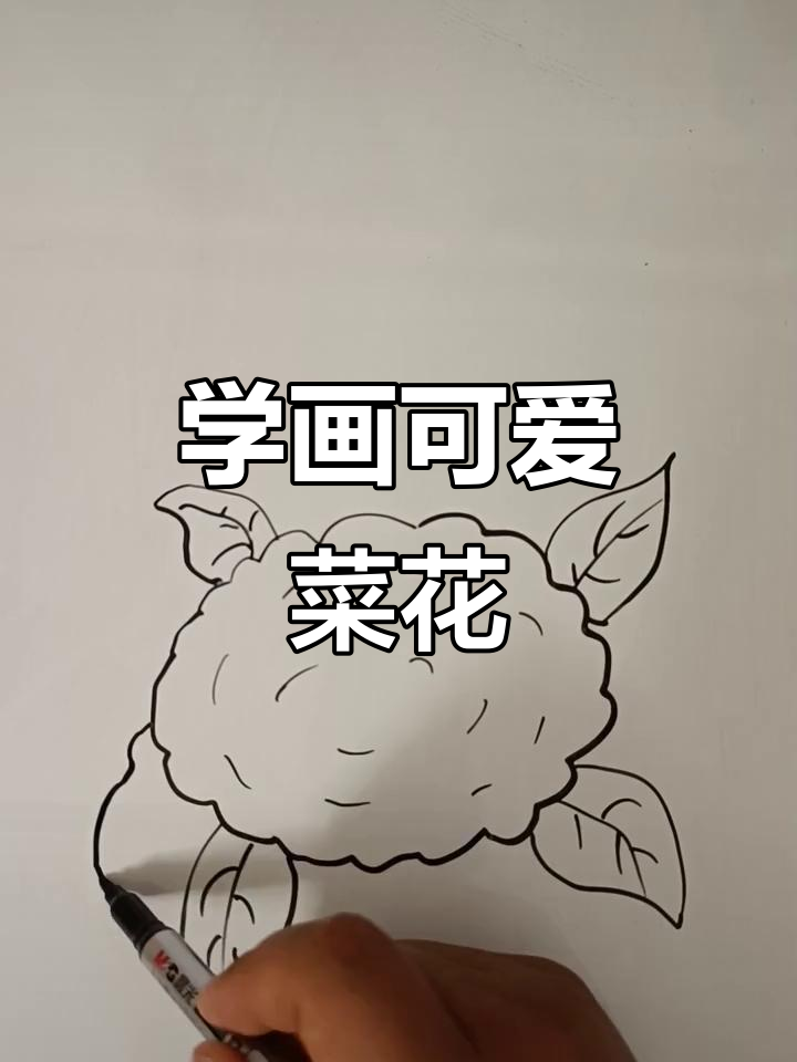 轻松学画菜花,简单又有趣