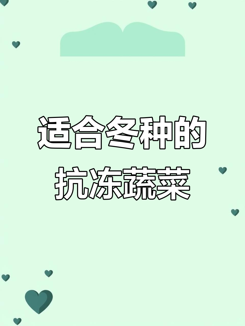 冬季耐寒蔬菜推荐,乌塌菜、豌豆尖等最适合十一月种植