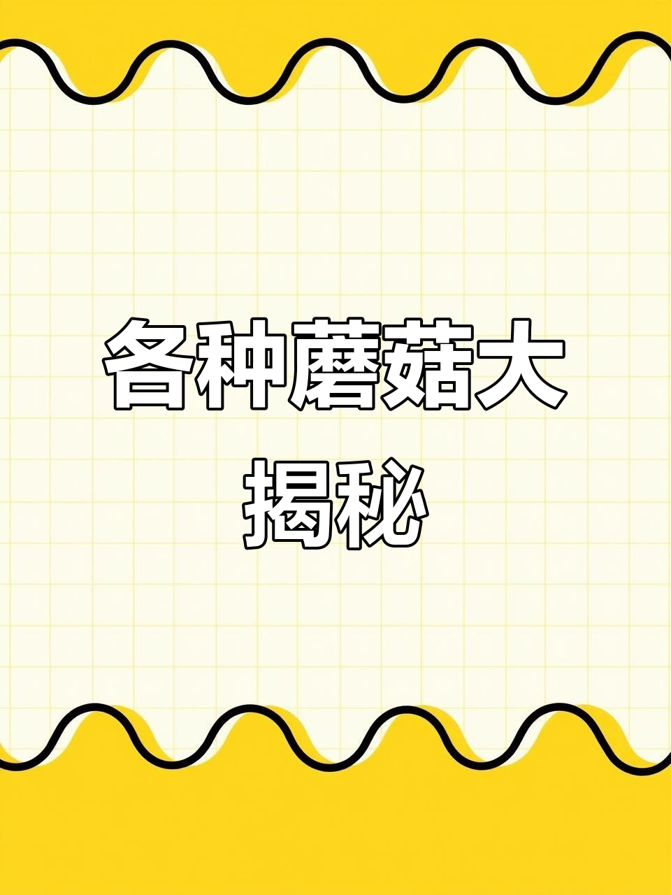 红蘑、松树伞和鸡血蘑,这些蘑菇你吃过吗?