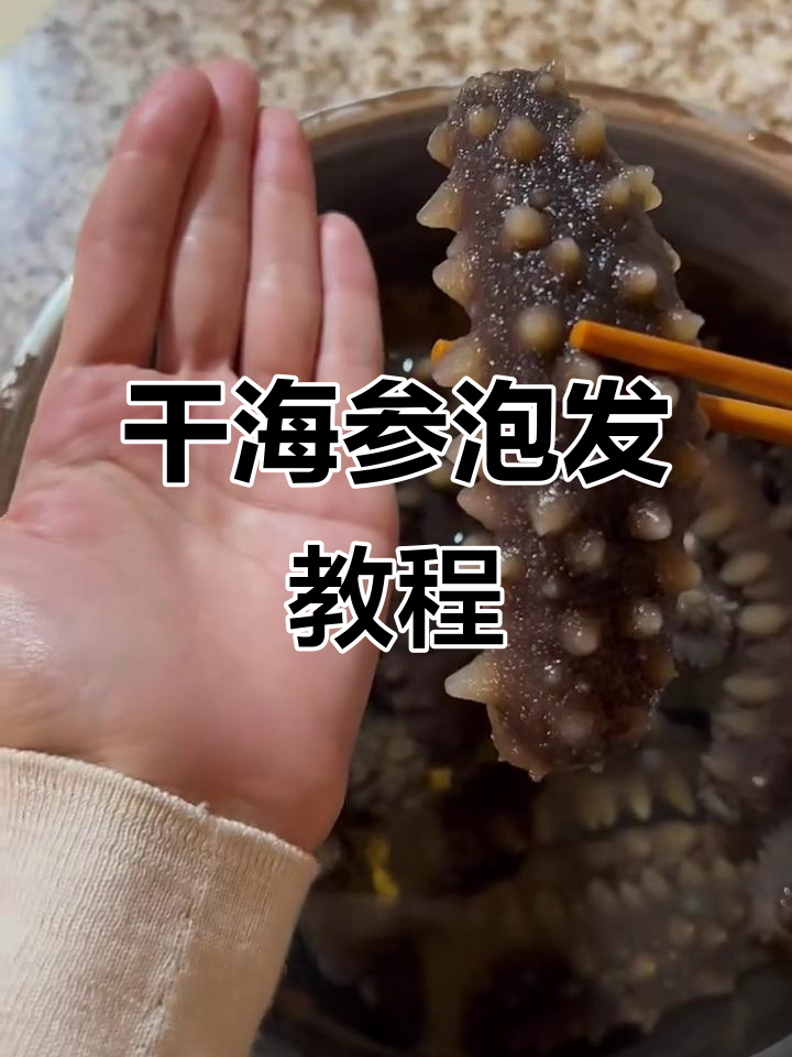 海参泡发技巧大揭秘，如何让干海参变大变软